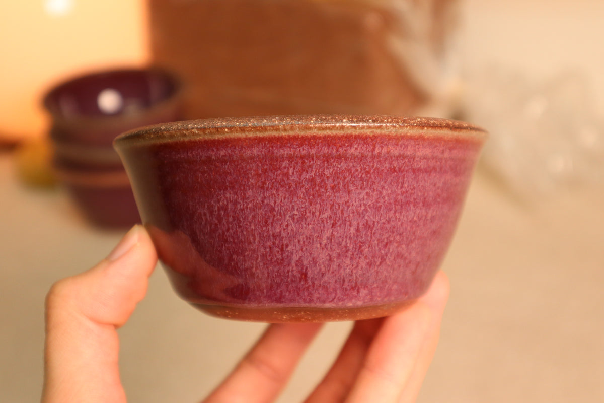 snack bowl | raspberry
