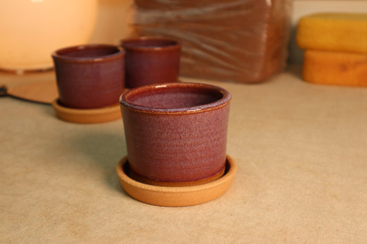 mini planter | raspberry