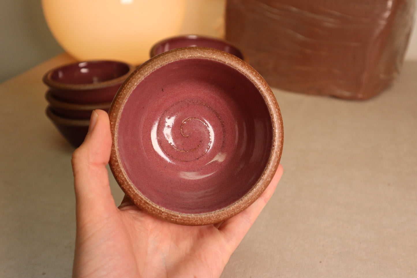 snack bowl | raspberry