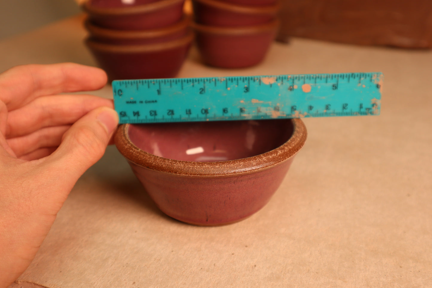 snack bowl | raspberry