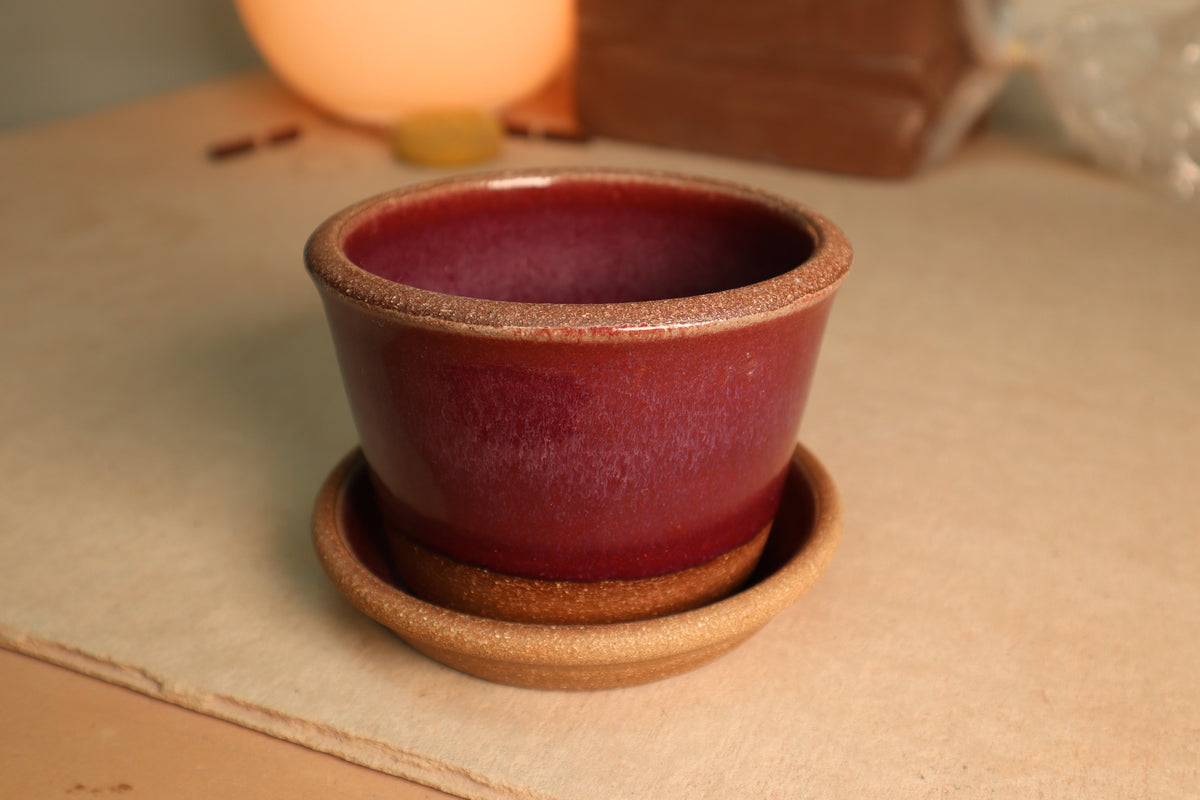 planter | raspberry | one-off