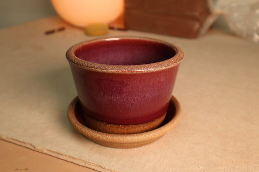 planter | raspberry | one-off