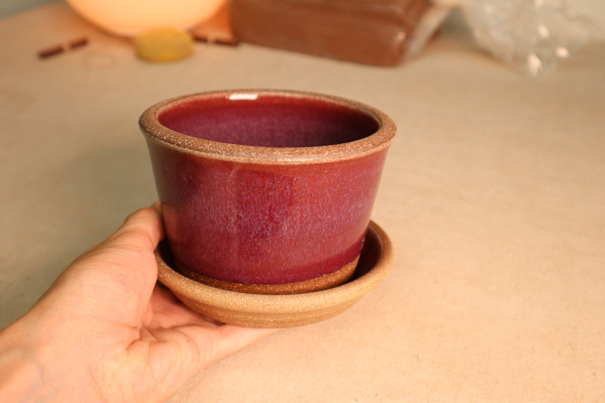 planter | raspberry | one-off