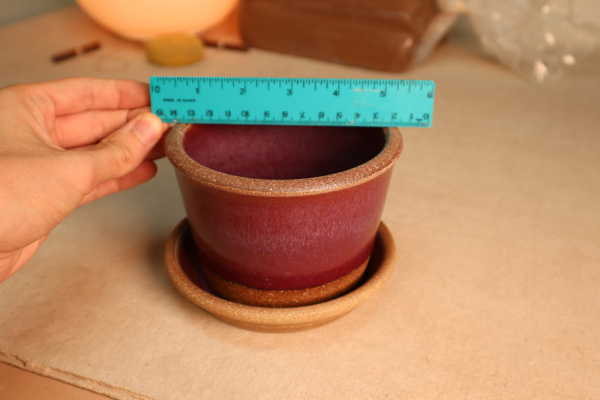 planter | raspberry | one-off