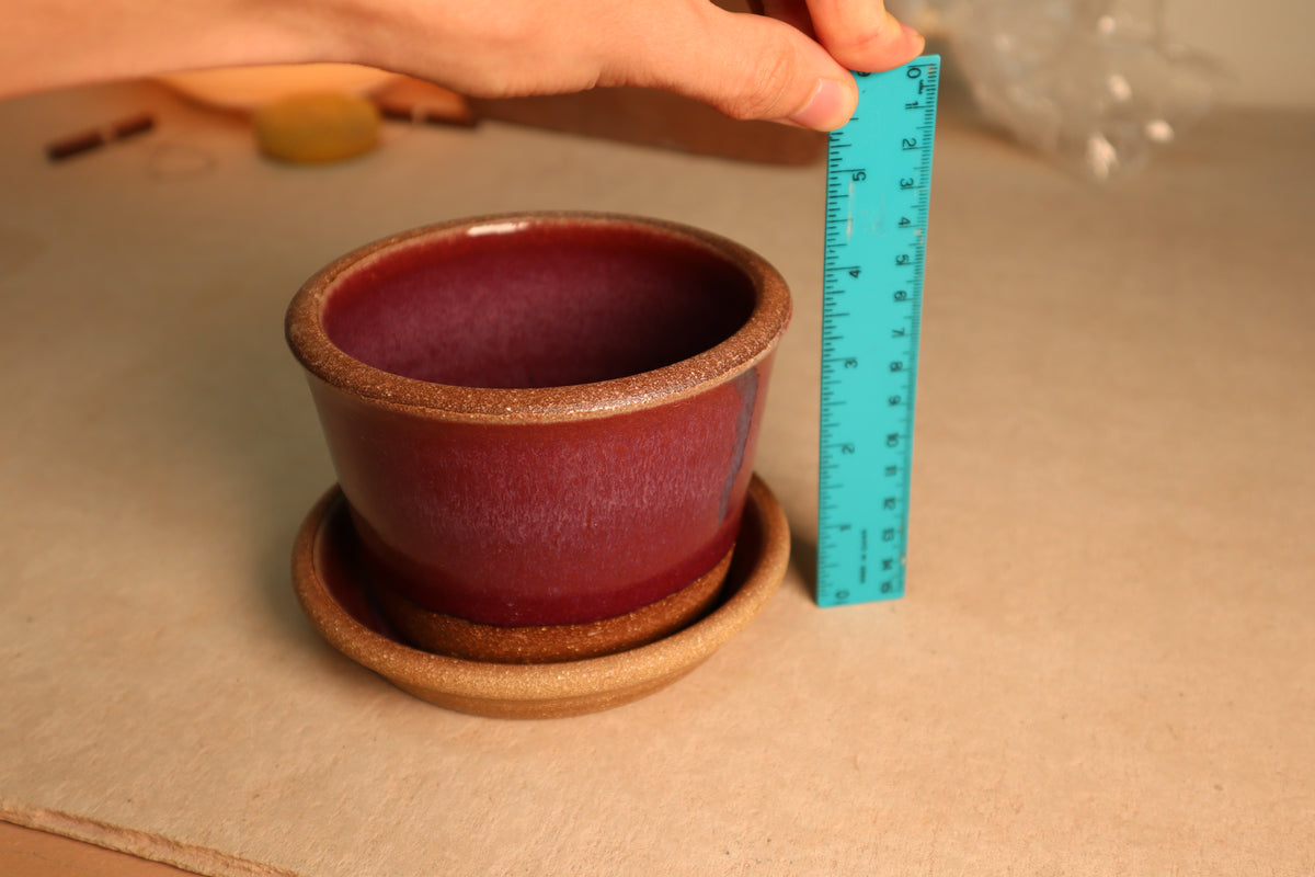 planter | raspberry | one-off