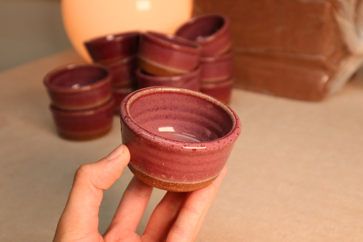 sauce bowl | raspberry