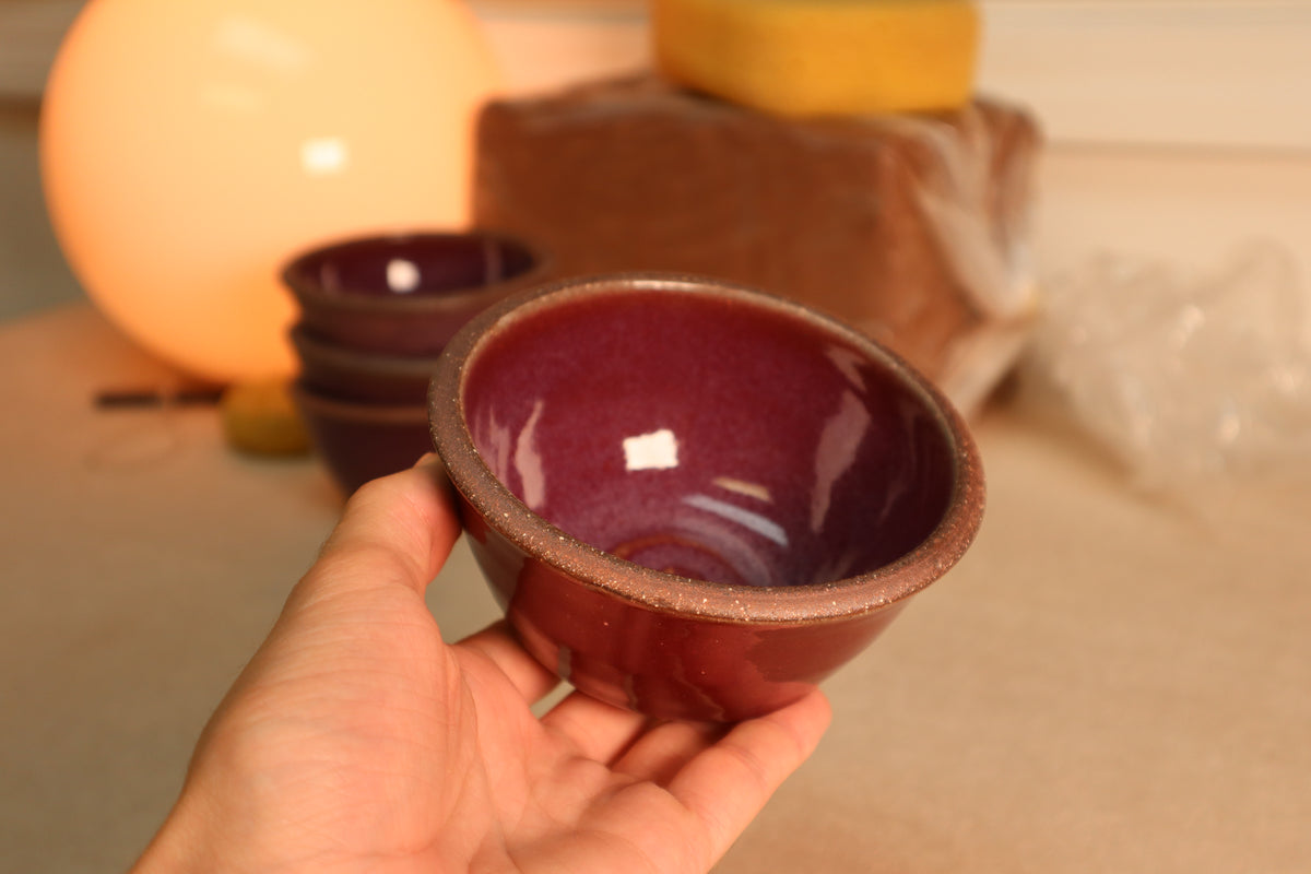 snack bowl | raspberry