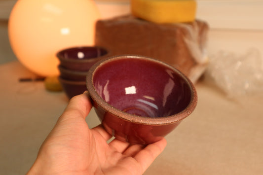 snack bowl | raspberry