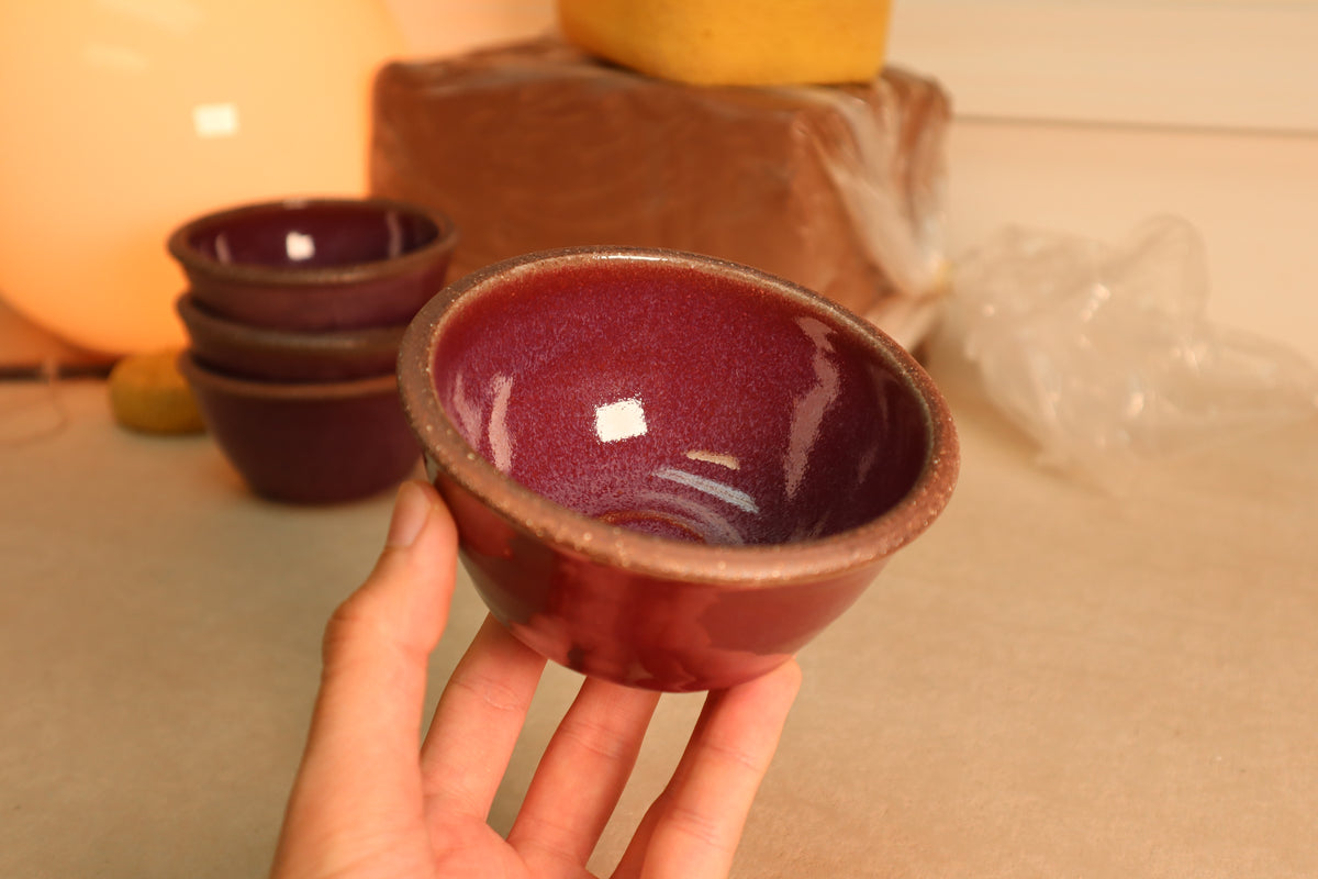 snack bowl | raspberry