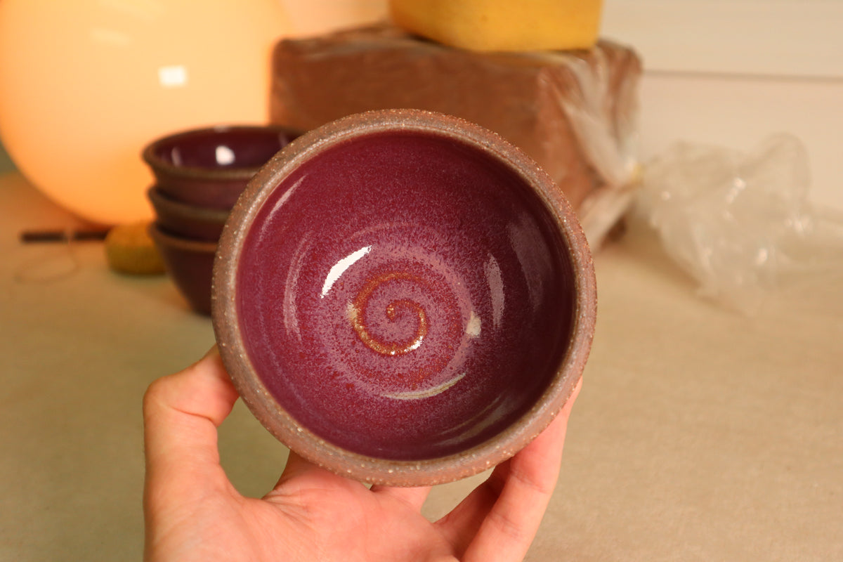 snack bowl | raspberry