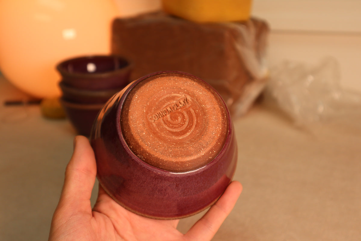 snack bowl | raspberry