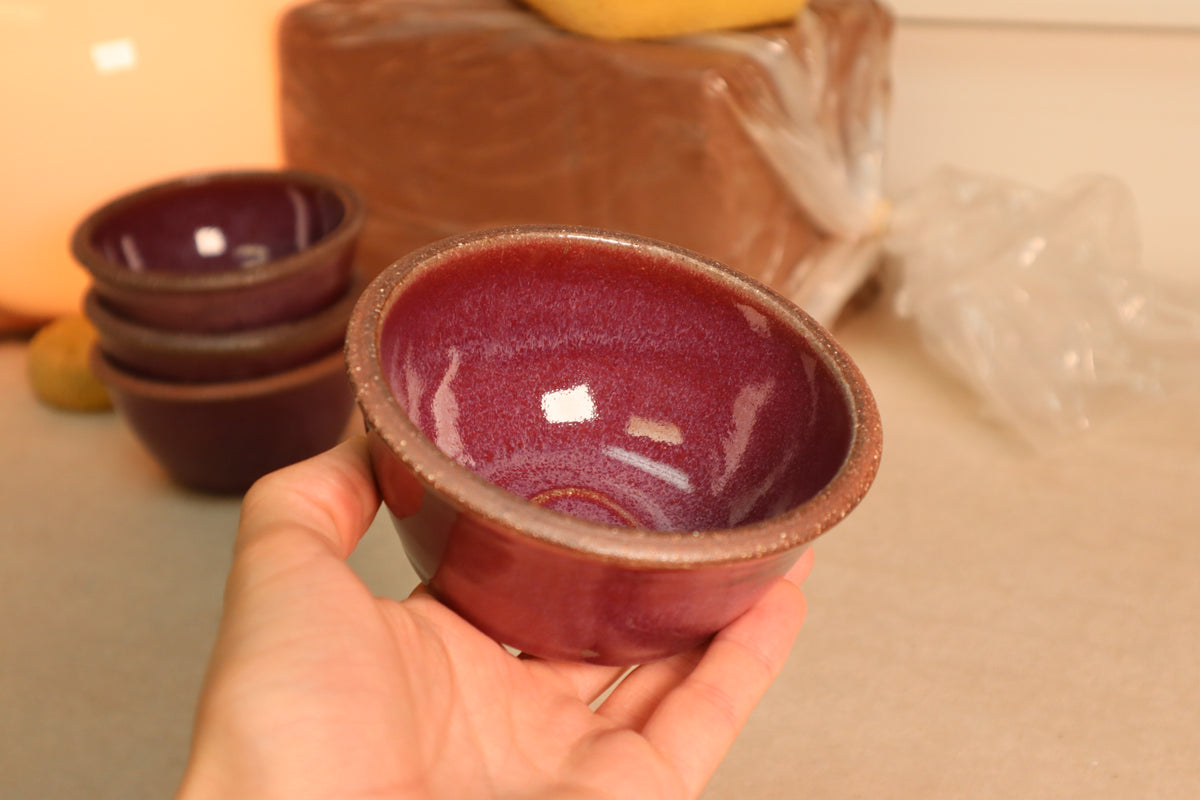 snack bowl | raspberry